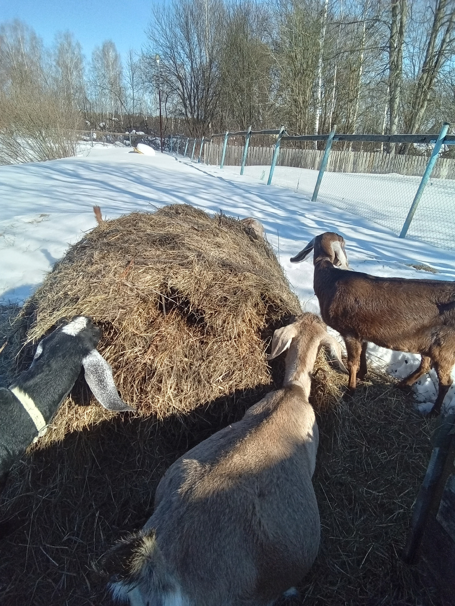 Фото автора.