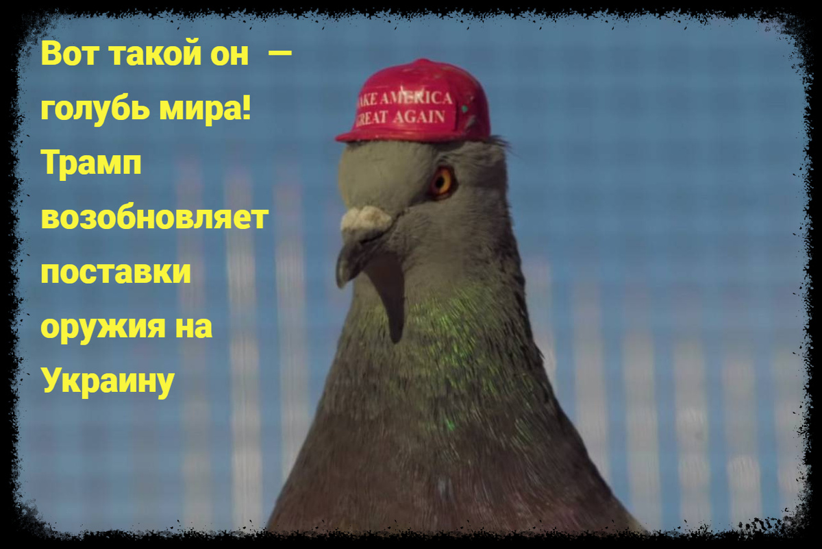 Reuters: США возобновили поставки оружия Украине после недолгой паузы