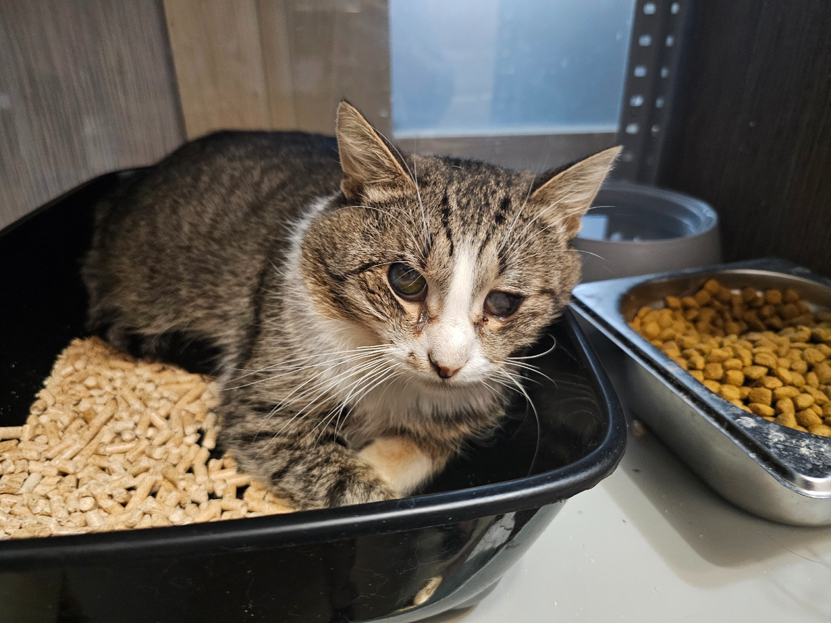 Фото автора. Арашик.