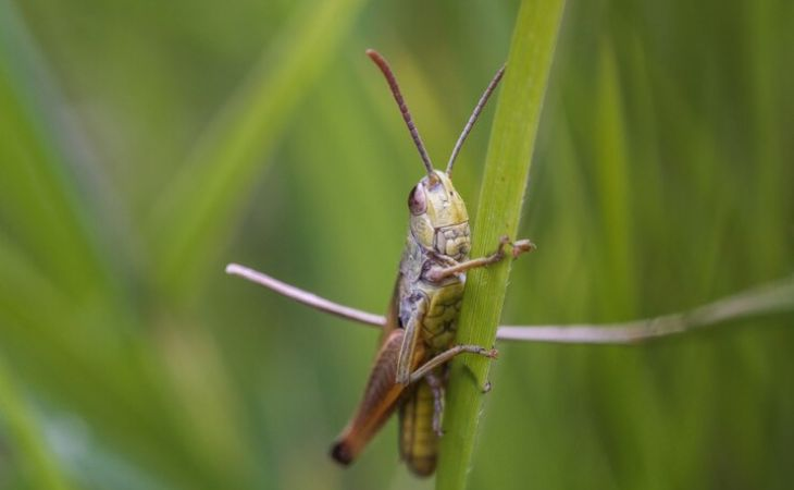 Фото:. freepik.com