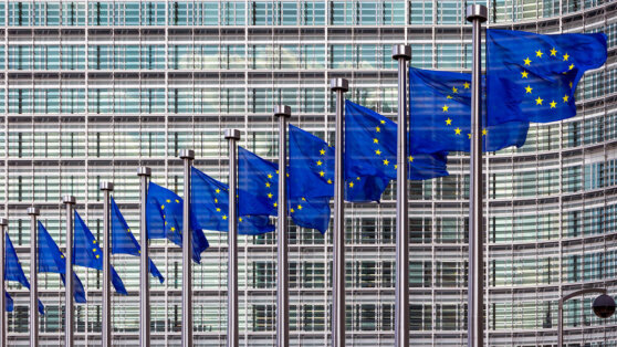    ЕС подчеркнул важность сохранения территориальной целостности Дании Егор Гордеев