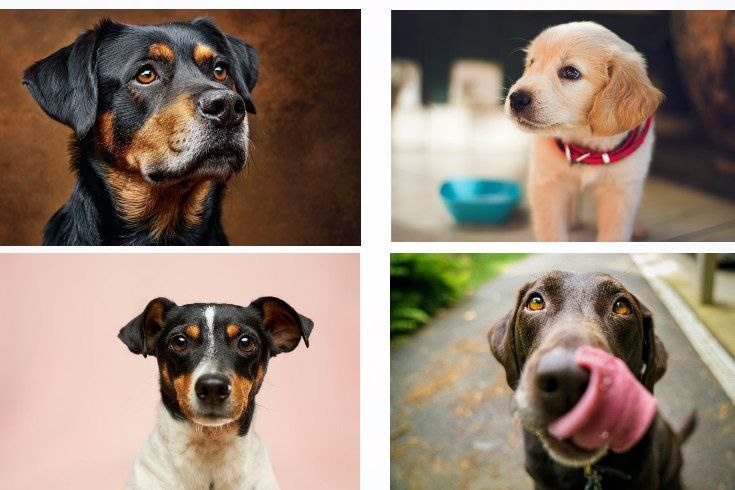 Альбина Константинова / Sakh.online 