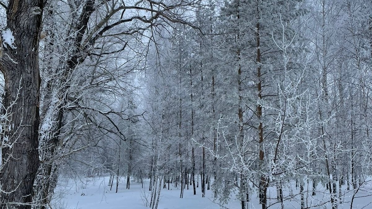     Источник: vostokmedia.com