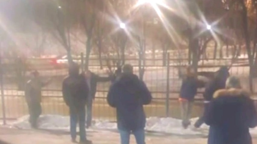     Источник: prim_police