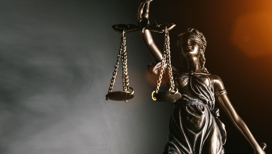    Автор фото: vostock-photo