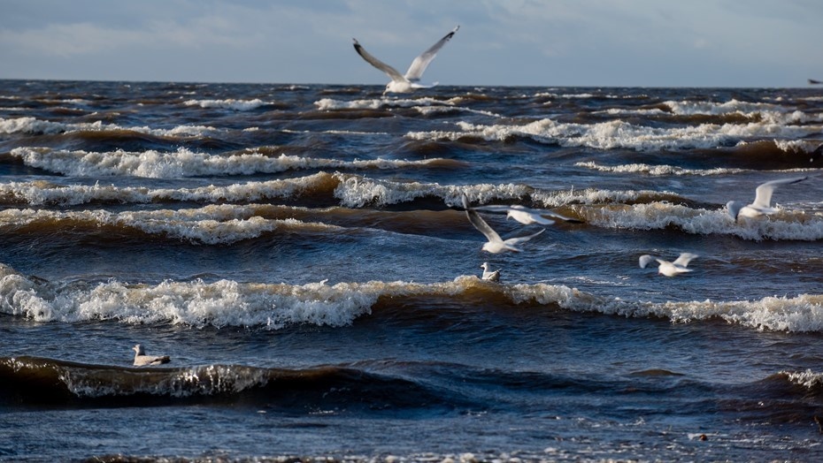    Автор фото: Сергей Ермохин / "ДП"