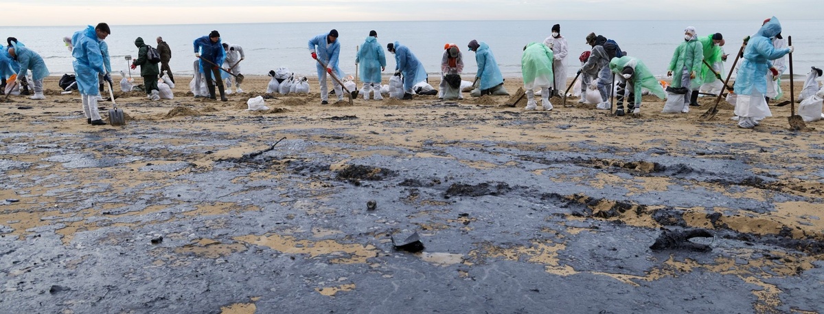    Автор фото: ТАСС