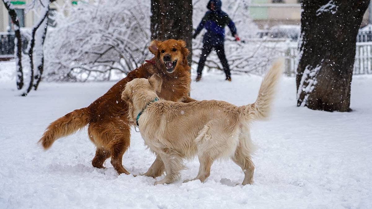    Фото: Александр Авилов / АГН Москва