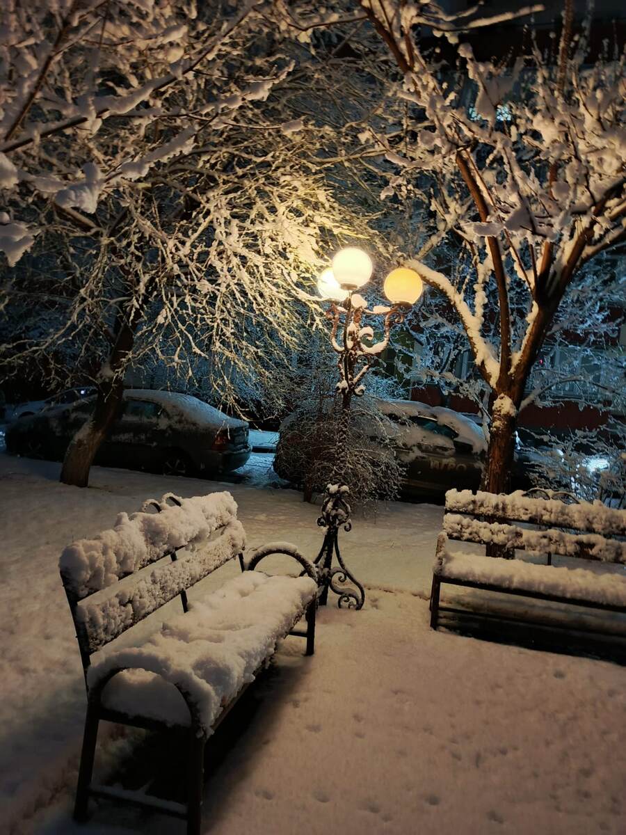 Фото автора. 