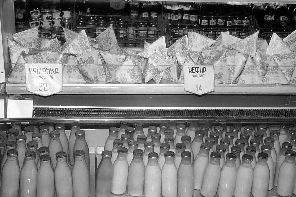 Фото взято из открытого источника