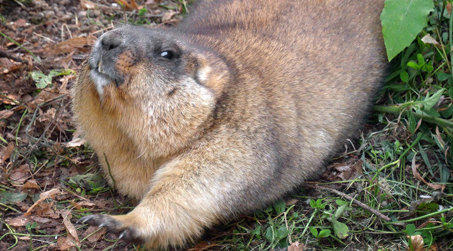   Фото: Национальный парк «Хвалынский»