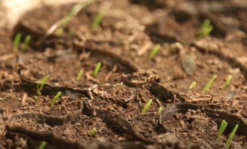 с сайта amurogorod.ru