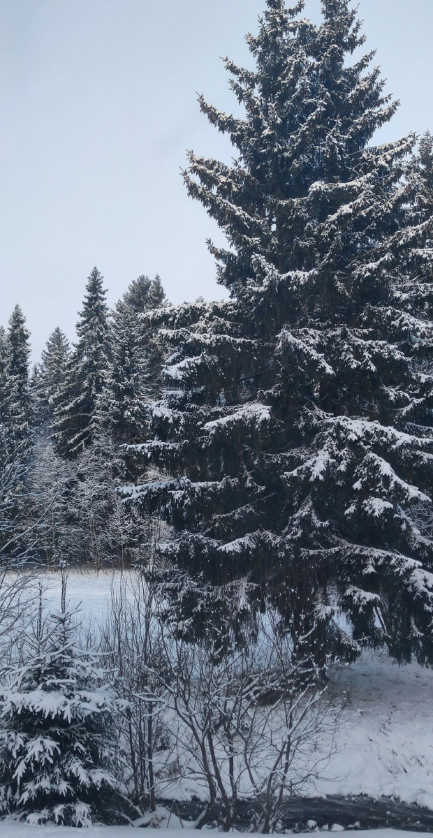 Вид из нашей спальни