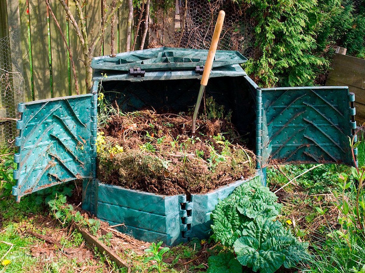 Фото agroexpert.md