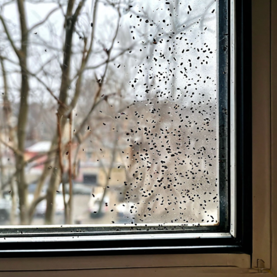 видение вопроса от нейросети