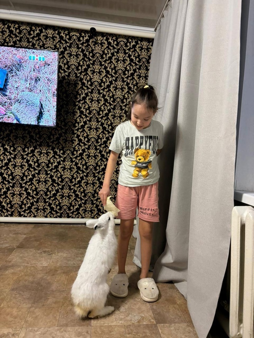 фотографии предоставлены Акулиной Анисимовой