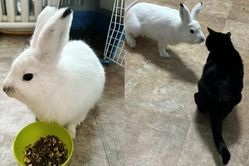 фото предоставила Акулина Анисимова