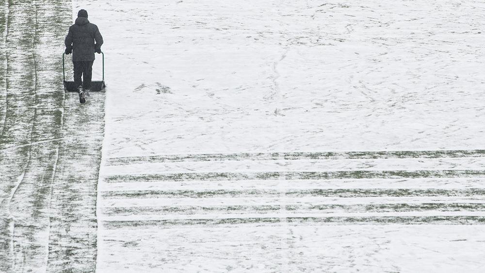    Фото: Ilya Moskovets/globallookpress.com