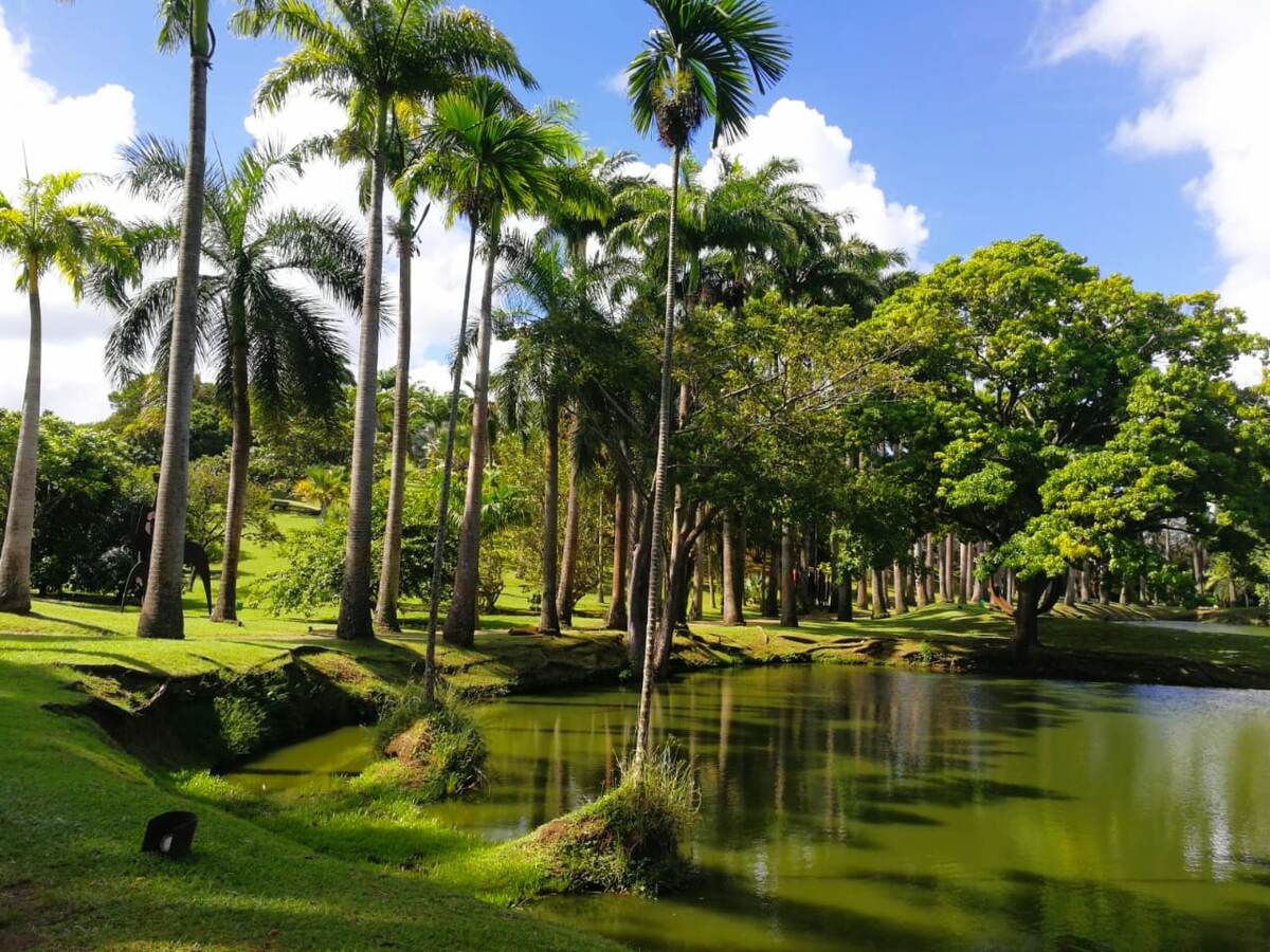 Сон про подругу-робота. Фото автора