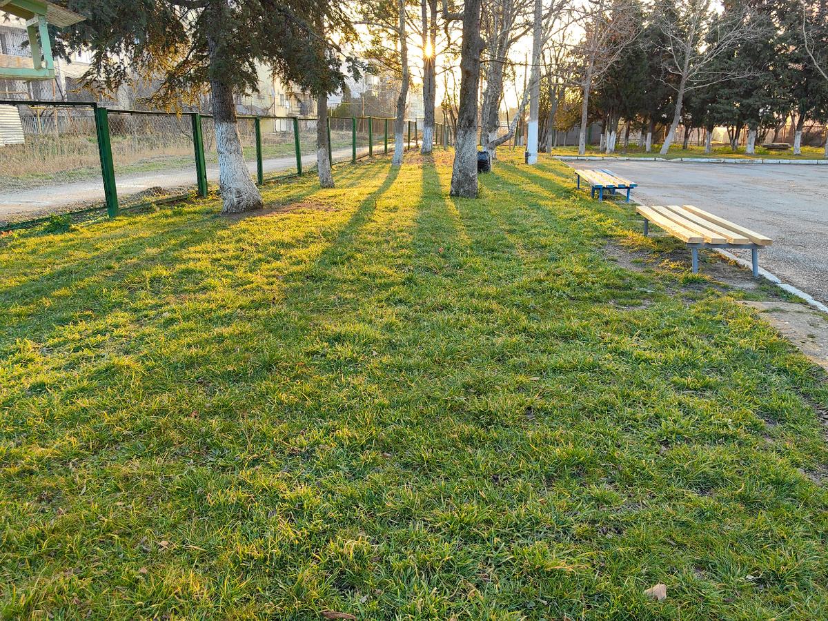 Сегодня. Фото автора канала