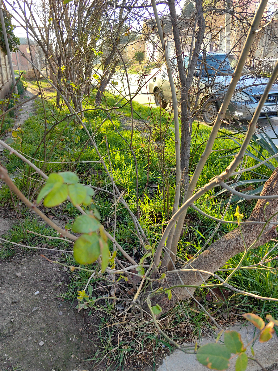 Сегодня. Фото автора канала