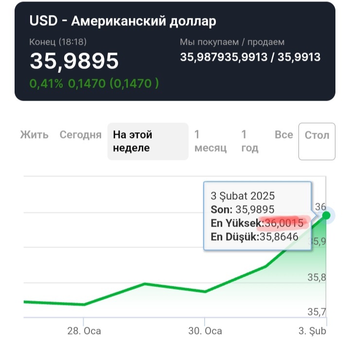 "Подмигнувшее" 3.02.25 на электронном табло значение 1$=36 tl.