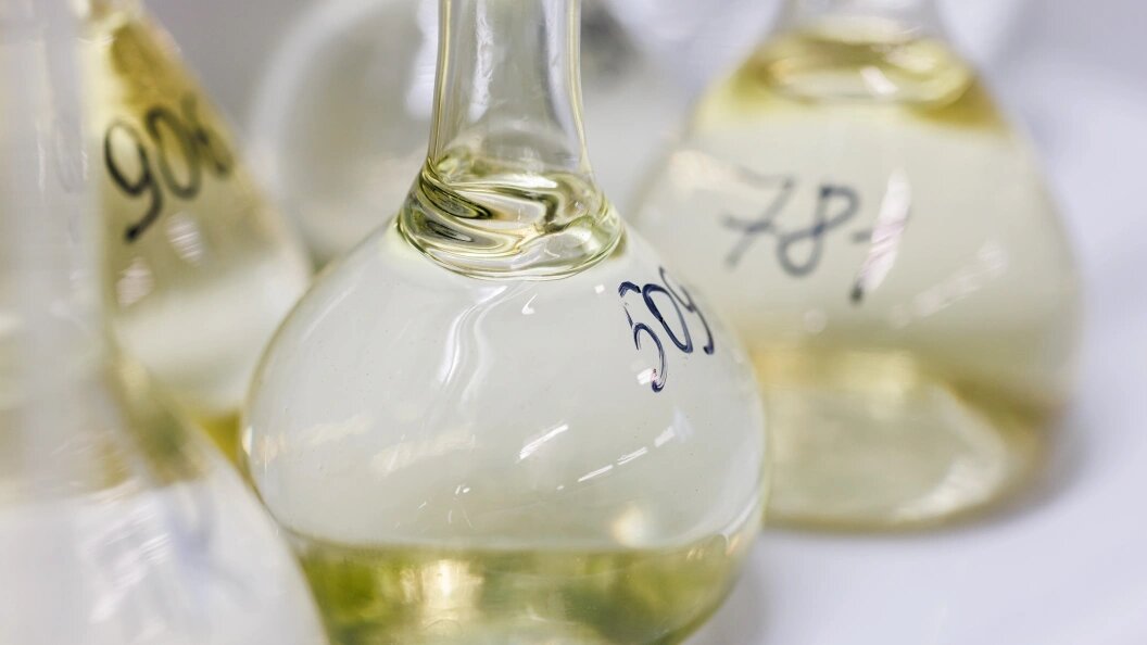    Фото: Sergey Elagin/Business Online/Globallookpress