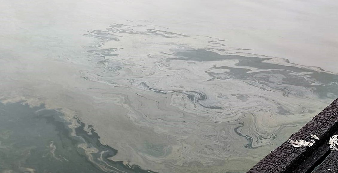    Фото: Пресс-служба Минприроды России