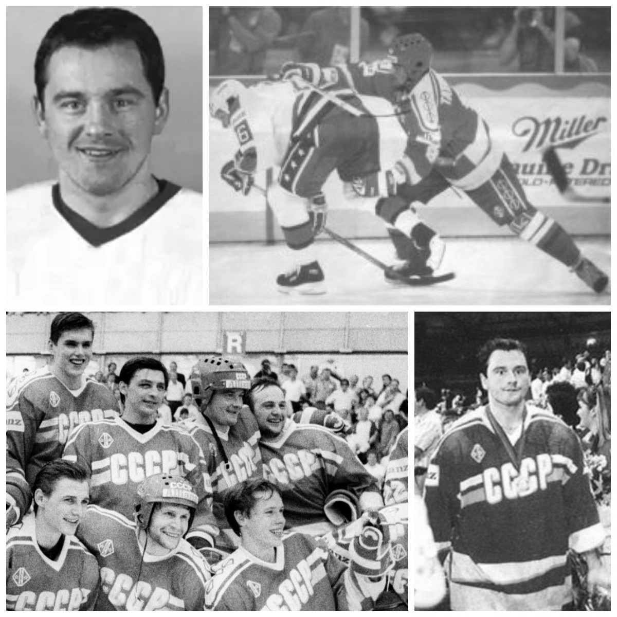 Коллаж автора. Фото взяты из открытого источника Яндекс.Картинки