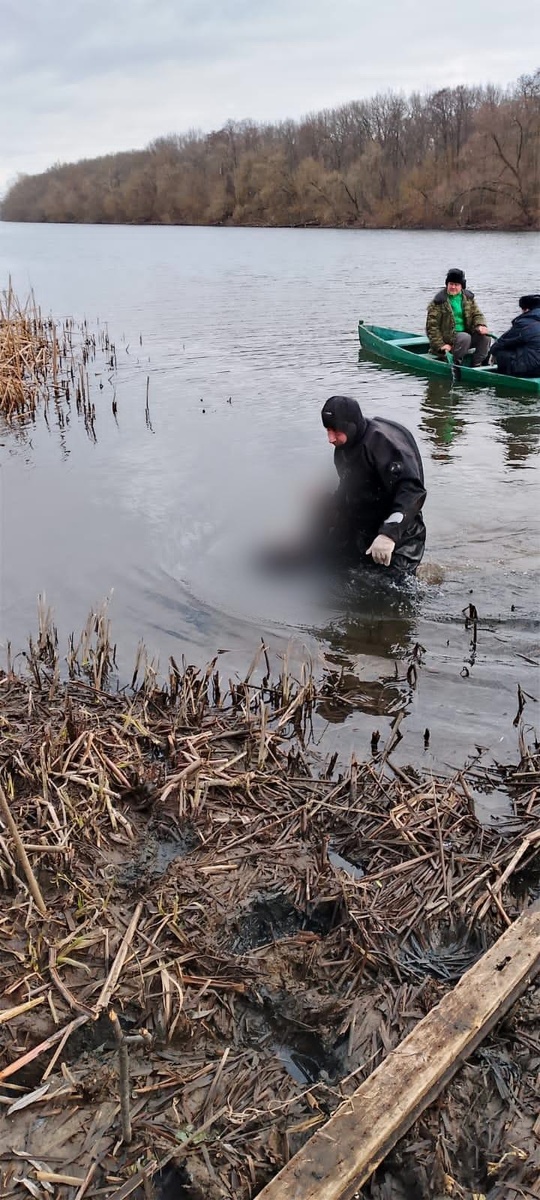 Фото: АСС Курской области