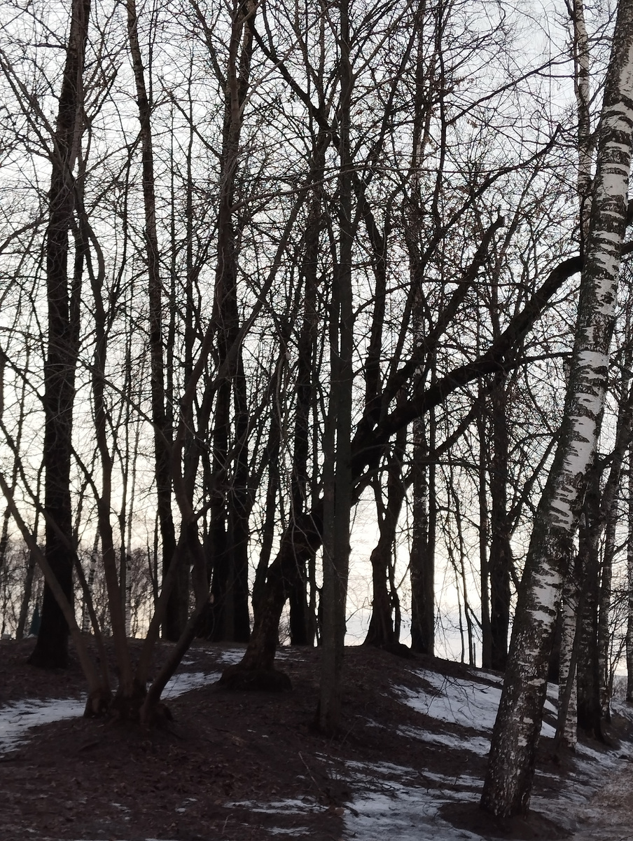 При желании заблудиться можно даже в парке рядом с домом. При разном свете может ощущаться  и прогулка среди нескольких берёзок, как в тёмном лесу