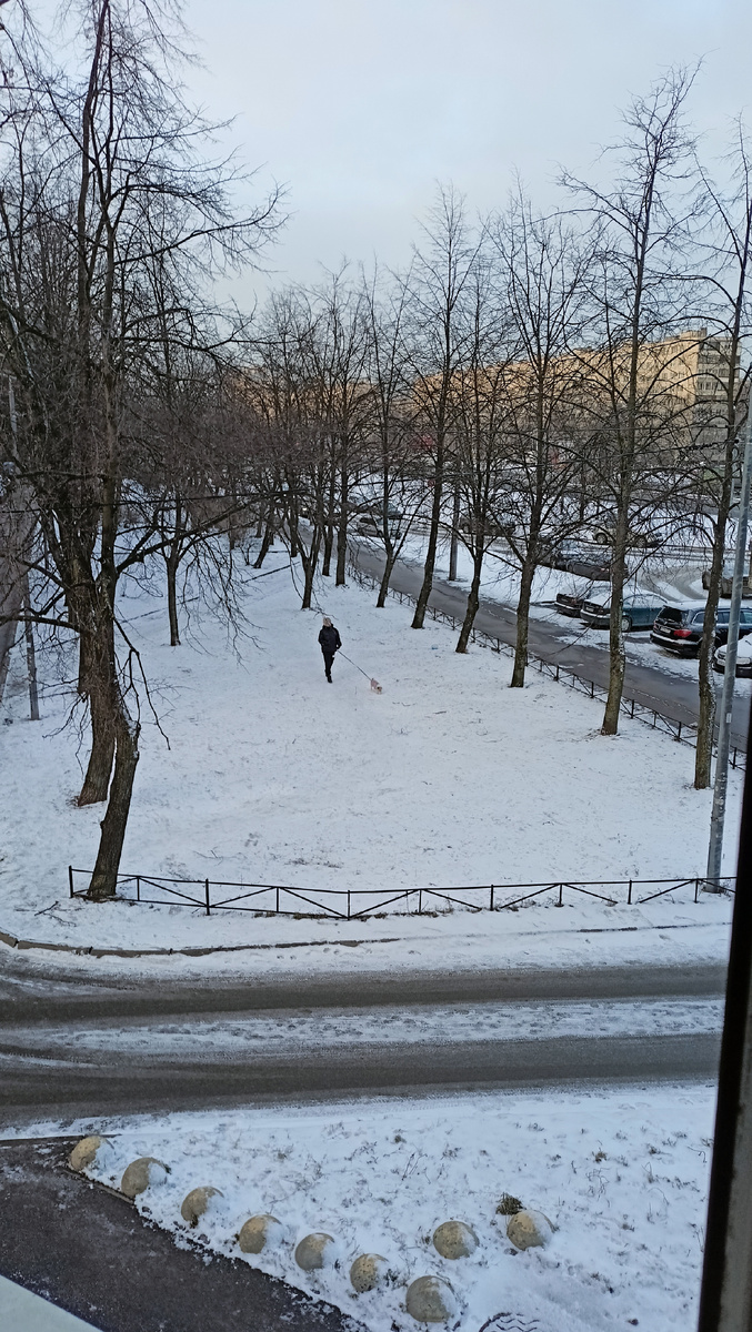 Фото автора. 10ч. СПб.