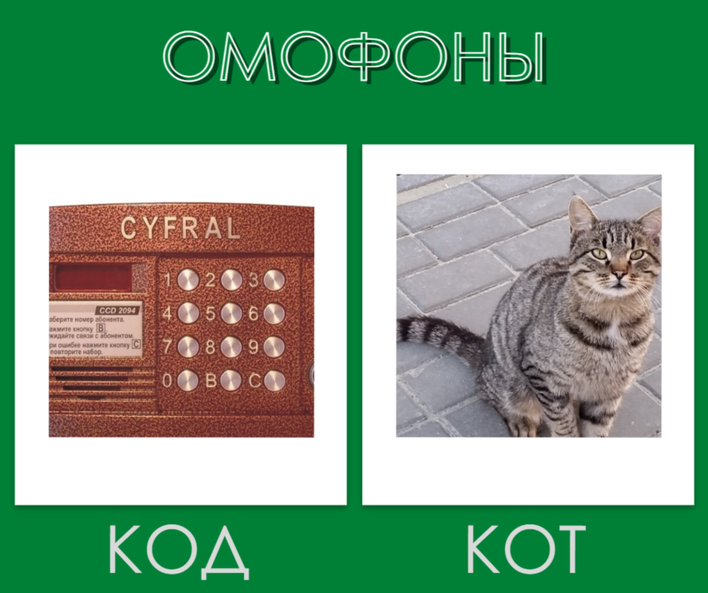 Между кодом цифрового замка и котом ну никакого сходства