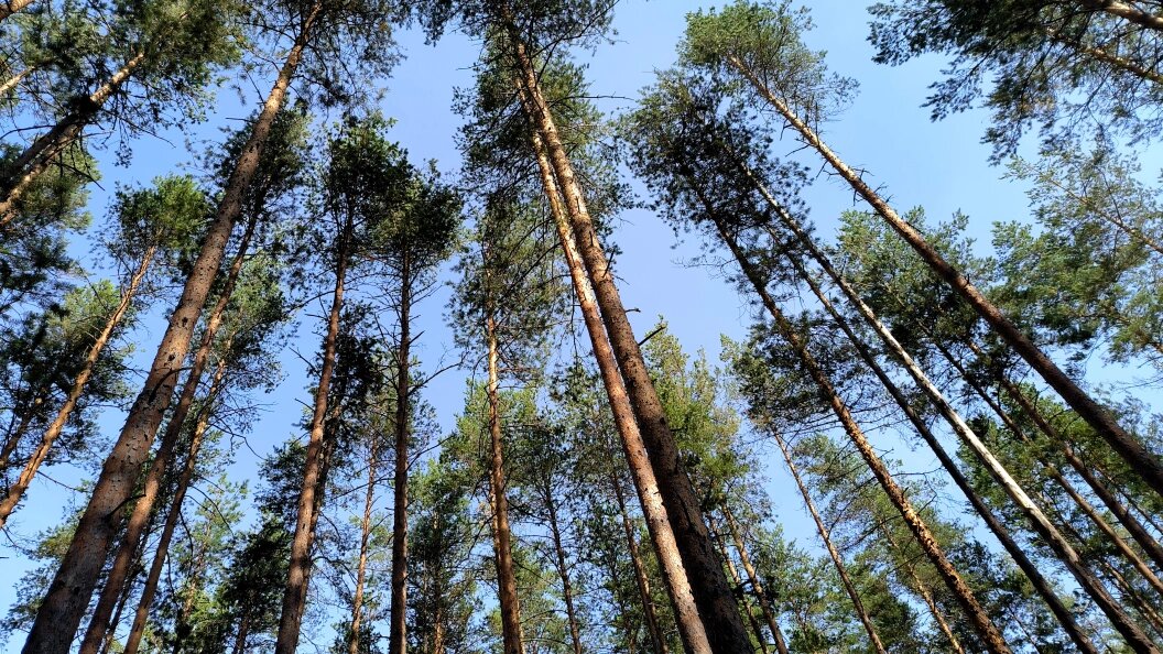    Фото: Maksim Konstantinov/Global Look Press