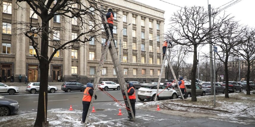    В Петербурге продолжается формовка деревьев.комитет по благоустройству Петербурга