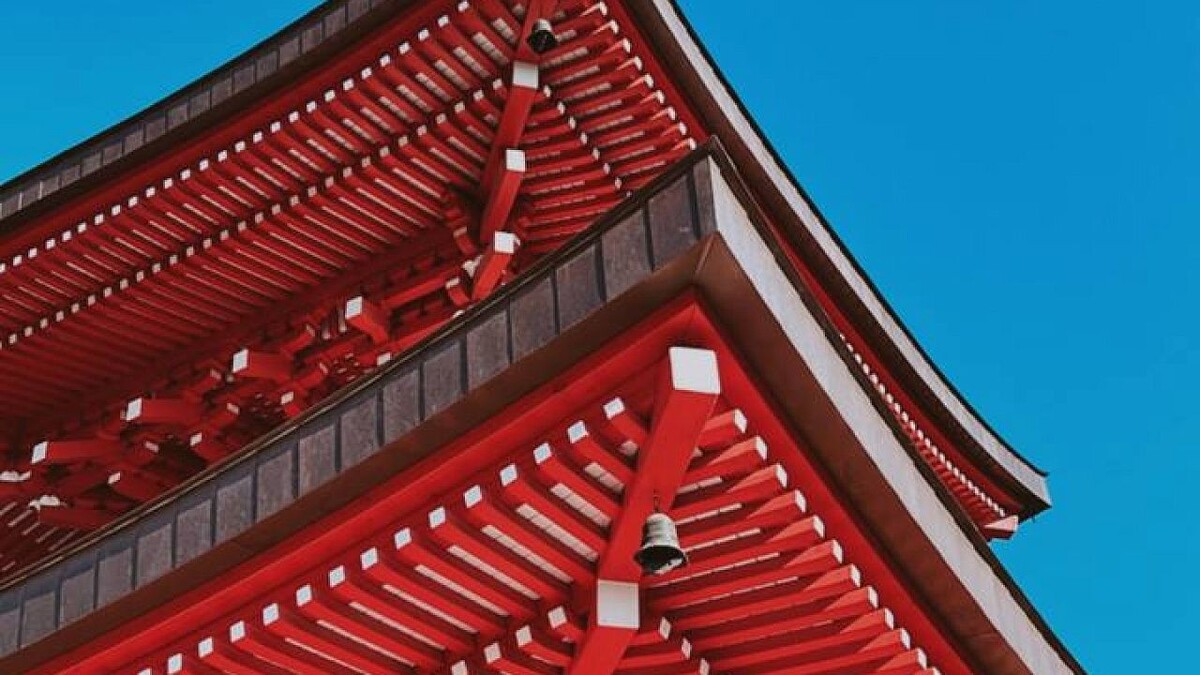    фото: телеканал «Краснодар»