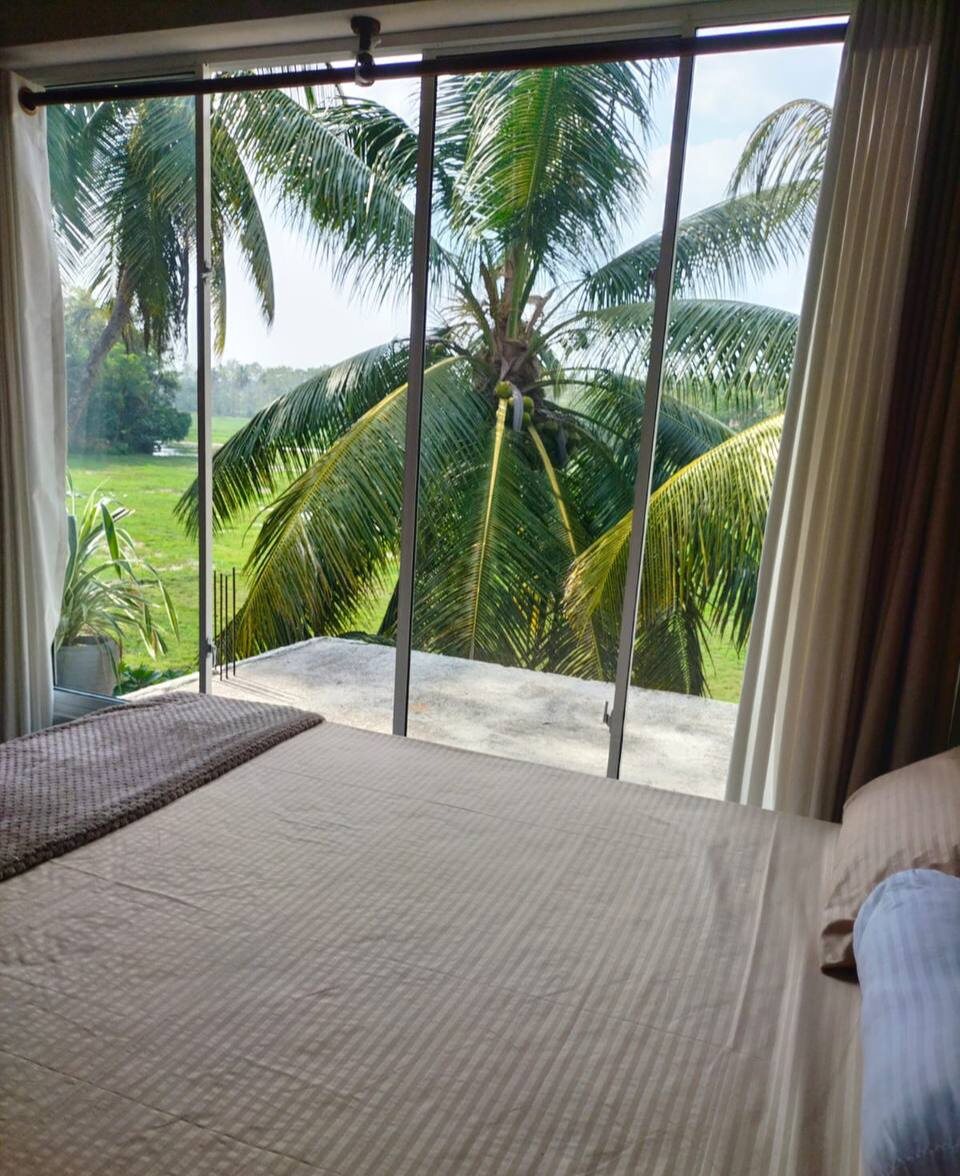 *фото взято из telegram чата "Шри-Ланка Marketplace" 