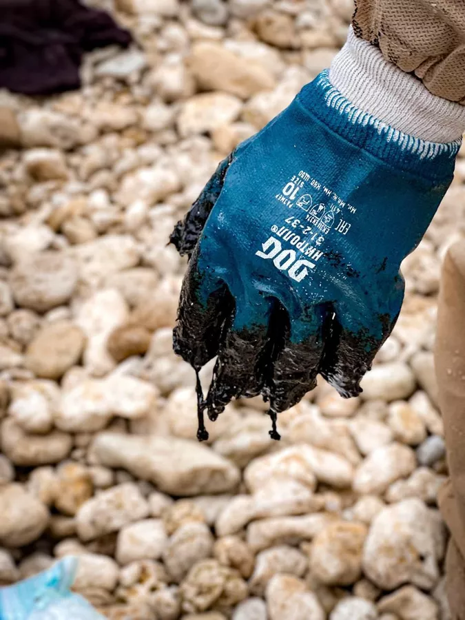 © Telegram Михаил Развожаев