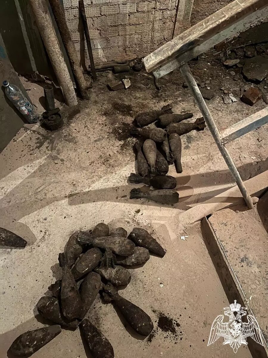     Источник: 24.rosguard.gov.ru