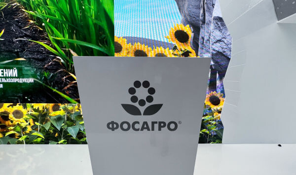 © Sputnik / Наталья Селиверстова