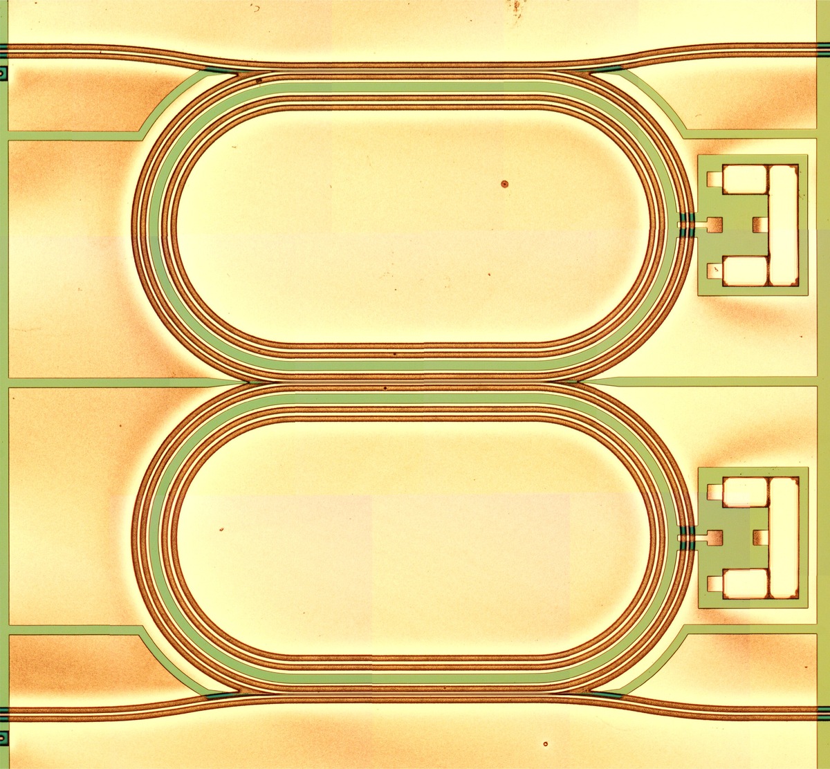 Свет выводится из дорожек с помощью направленных волноводов ответвителя вдоль прямого участка каждой дорожки.    
 Источник: Physical Review Letters (2025). DOI: 10.1103/PhysRevLett.134.023802  📷
