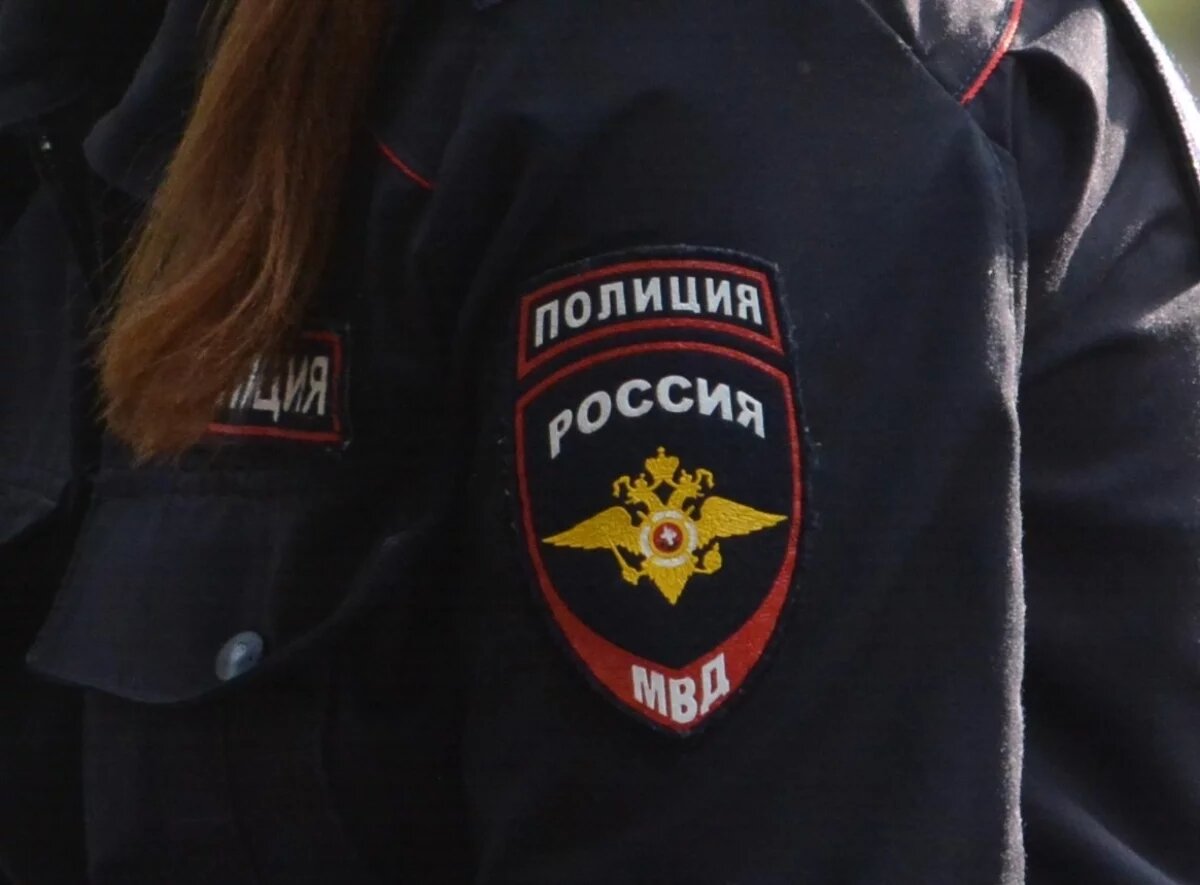    Молодого парня подозревают в краже вещей из автомобиля в Туле