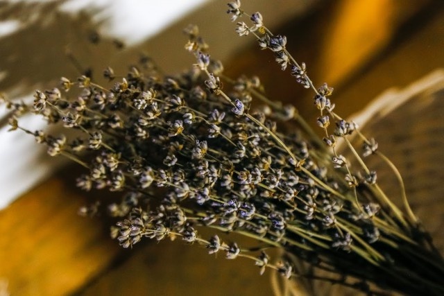   Фото из архива Калининград.Ru