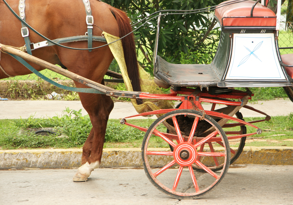 Зашёл в гости называется