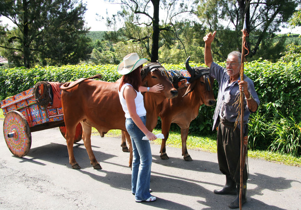 Зашли в гости называется