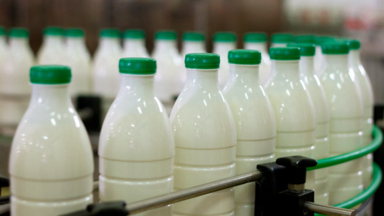    Российские производители молочных продуктов предупредили о повышении цен Ирина Петрова
