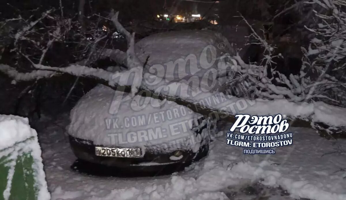     Автор: ТГ «Это Ростов»