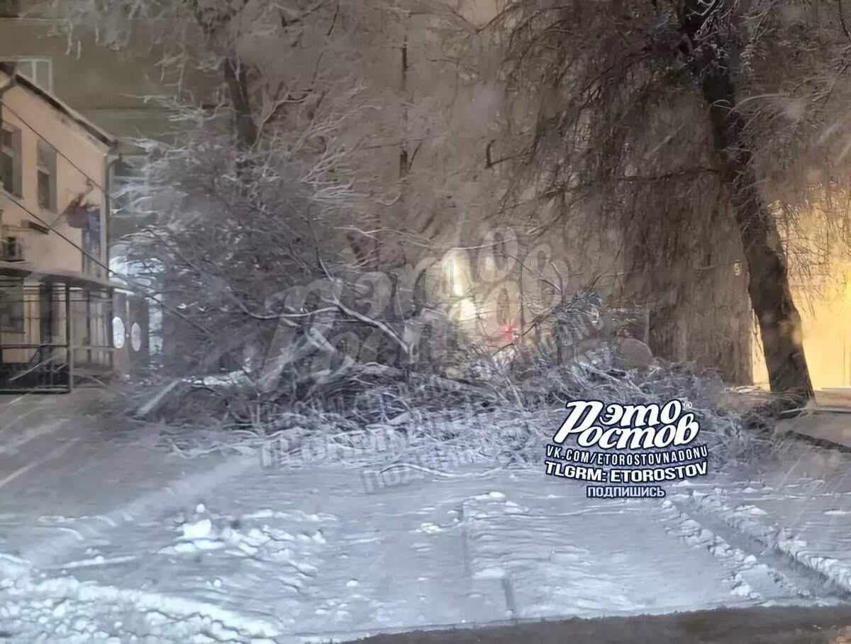     Автор: ТГ "Это Ростов"