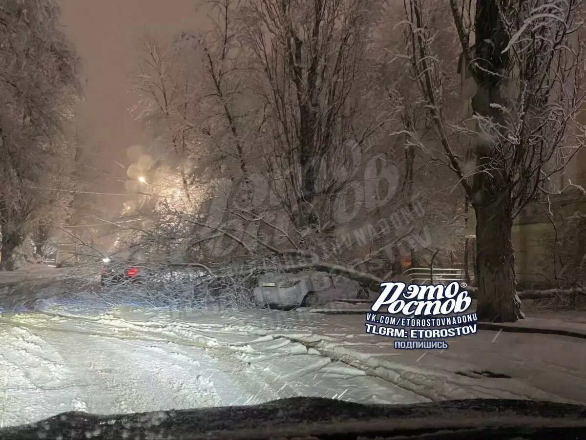     Автор: ТГ "Это Ростов"
