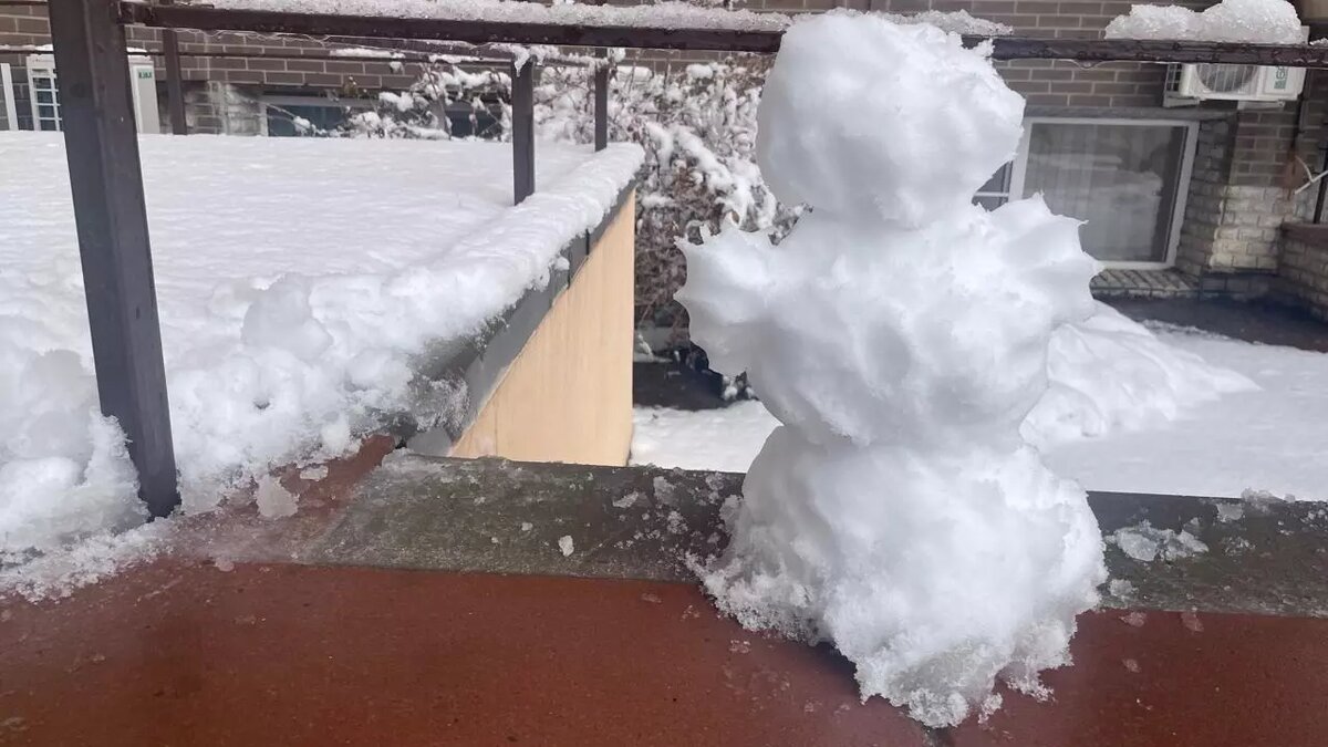     Источник: rostovgazeta.ru